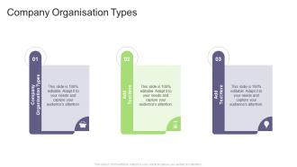 Company Organisation Types In Powerpoint And Google Slides Cpb