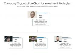 Company organization chart for investment strategies infographic template
