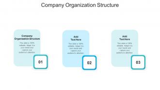 Company Organization Structure In Powerpoint And Google Slides Cpb