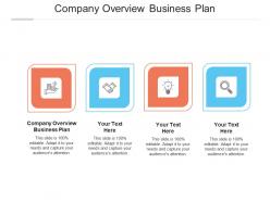 Company overview business plan ppt powerpoint presentation portfolio files cpb