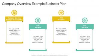 Company Overview Example Business Plan In Powerpoint And Google Slides Cpb