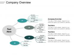 Company overview ppt powerpoint presentation gallery elements cpb