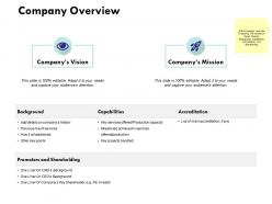 Company overview ppt powerpoint presentation styles elements