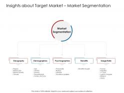 Company Playbook Insights About Target Market Segmentation Ppt Powerpoint Presentation Summary Icon