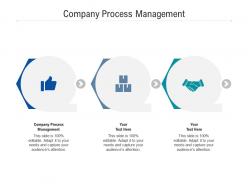 Company process management ppt powerpoint presentation portfolio background designs cpb
