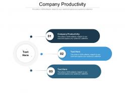 Company productivity ppt powerpoint presentation portfolio skills cpb