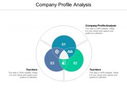Company profile analysis ppt powerpoint presentation file infographics cpb