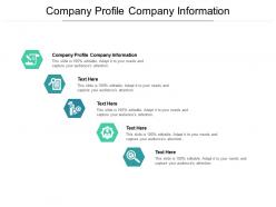 Company profile company information ppt powerpoint presentation ideas cpb