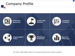 Company profile ppt portfolio file formats