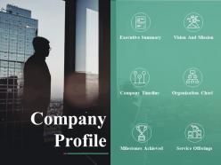 Company profile ppt slides graphic tips