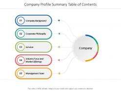 Company profile summary table of contents