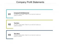 Company profit statements ppt powerpoint presentation professional outfit cpb