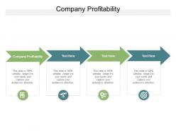 Company profitability ppt powerpoint presentation file example topics cpb