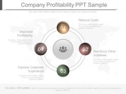 Company profitability ppt sample
