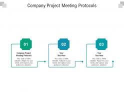 Company project meeting protocols ppt powerpoint presentation slides templates cpb