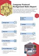 Company protocol background rules report presentation report infographic ppt pdf document