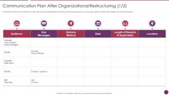 Company Reorganization Process Plan After Organizational Restructuring