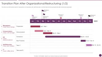 Company Reorganization Process Transition Plan After Organizational Restructuring