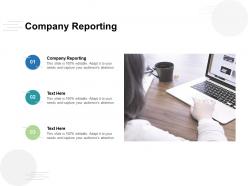 Company reporting ppt powerpoint presentation file show cpb