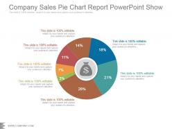 Company Sales Pie Chart Report Powerpoint Show