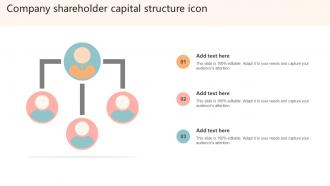 Company Shareholder Capital Structure Icon