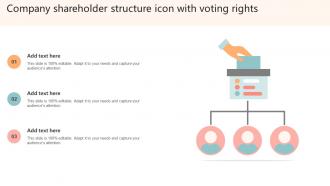 Company Shareholder Structure Icon With Voting Rights