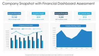 Company Snapshot With Financial Dashboard Assessment
