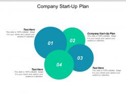 Company start up plan ppt powerpoint presentation gallery mockup cpb