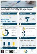 Company stats teaser one pager presentation report infographic ppt pdf document