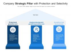 Company Strategic Pillar With Protection And Selectivity