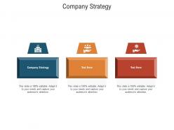 Company strategy ppt powerpoint presentation infographics cpb