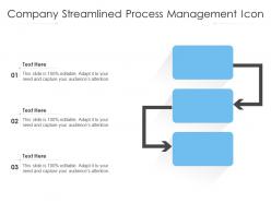 Company streamlined process management icon
