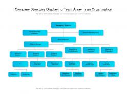 Company structure displaying team array in an organisation