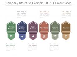 Company structure example of ppt presentation