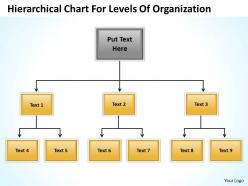 Company structure flow chart hierarchical for levels of organization powerpoint templates 0515