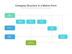 Company structure in a matrix form