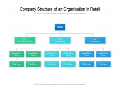 Company structure of an organisation in retail