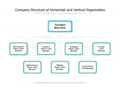 Company structure of horizontal and vertical organisation