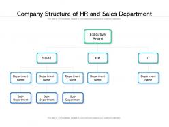 Company structure of hr and sales department