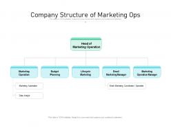 Company Structure Of Marketing Ops