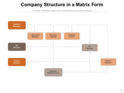 Company Structure Organisation Horizontal Vertical Department Marketing