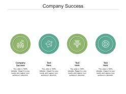 Company success ppt powerpoint presentation icon picture cpb