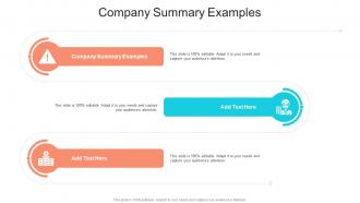 Company Summary Examples In Powerpoint And Google Slides Cpb