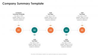 Company Summary Template In Powerpoint And Google Slides Cpb