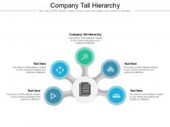 Company tall hierarchy ppt powerpoint presentation portfolio images cpb