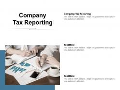 Company tax reporting ppt powerpoint presentation icon example file cpb