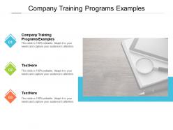 Company training programs examples ppt powerpoint presentation infographics clipart cpb