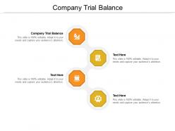 Company trial balance ppt powerpoint presentation file example topics cpb