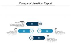 Company valuation report ppt powerpoint presentation model smartart cpb