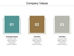 Company values ppt powerpoint presentation gallery graphic tips cpb